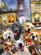 Dogs in Paris fototapet Kleurmijninterieur All-images