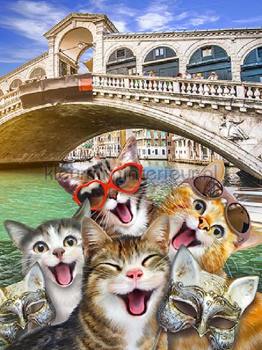 Cats in Florence fotomurali ragazze Kleurmijninterieur