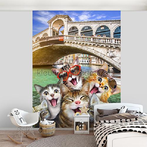 Cats in Florence fotomurales animales Kleurmijninterieur