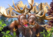 Reindeers smiling photomural animals Kleurmijninterieur