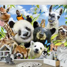 Panda and friends fotobehang Kleurmijninterieur dieren 