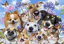 funny doggies fototapet Kleurmijninterieur All-images