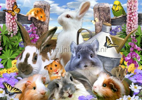 Sweet rabbits photomural animals Kleurmijninterieur