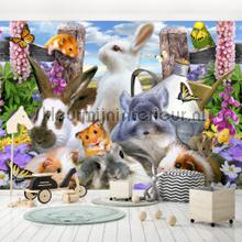 Sweet rabbits photomural animals Kleurmijninterieur