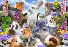 Sweet rabbits fototapet Kleurmijninterieur All-images