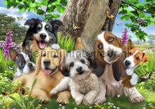 Sweet doggies fototapet Animals Kleurmijninterieur