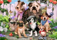 Classy dogs fototapet Kleurmijninterieur All-images