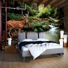 Deer in the forest fottobehaang Kleurmijninterieur _intrieur 