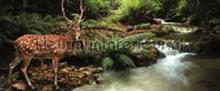 107569 fototapet Kleurmijninterieur All-images