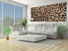 107571 fottobehaang Kleurmijninterieur _intrieur 