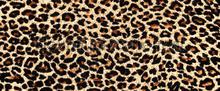 107571 fototapet Kleurmijninterieur All-images