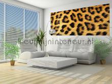 107572 fototapet Kleurmijninterieur All-images