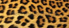 107572 fototapet Kleurmijninterieur All-images