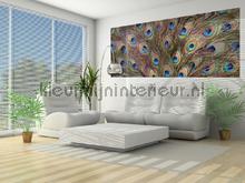 107575 fototapet Kleurmijninterieur All-images