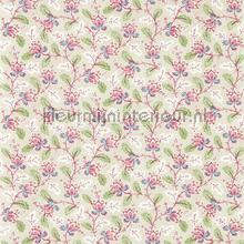 Dallimore Wild Rose tapet Sanderson Vintage Gamle 