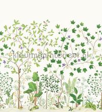 Sycamore and oak Botanical Green fotobehang Sanderson Bloemen Planten 