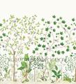 Sycamore and oak Botanical Green fotomurali DABW217211 Fiori - Pianta Temi