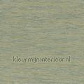 Tatami vert de gris papel de parede 75343466 Exótico Estilos