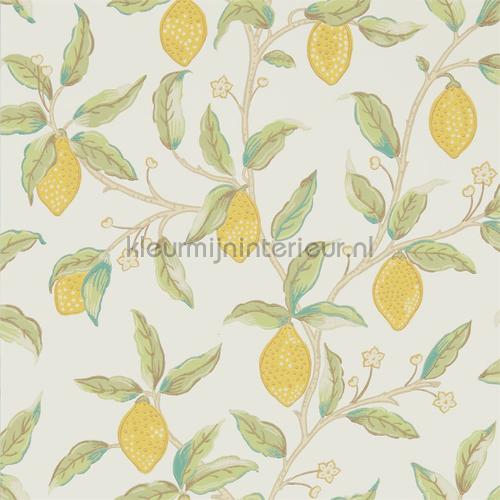 Lemon tree bay leaf tapet 216672 Archive V Melsetter Morris and Co