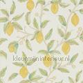 Lemon tree bay leaf wallcovering 216672 romantic Styles