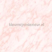 Marmer licht roze aders papel pintado Esta home Wallpaper creations 