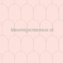 Artdeco boog ritme pastel roze behang 156-139201 tieners Esta home