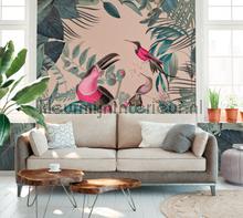 Toucans paradise fotomurais dd119693 Moderno - Abstrato Livingwalls
