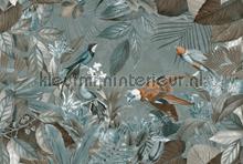 Tropical jungle fotomurales dd119697 Moderno - Abstracto Livingwalls