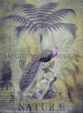 Peacock jungle 2 papier murales Livingwalls ARTist dd119713