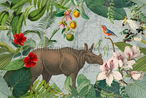 Jungle rhino fototapeten dd119725 Modern - Abstract Livingwalls