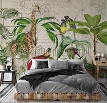 Palm tree map fottobehaang Livingwalls tiener 