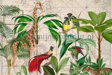 Palm tree map fotomurais Livingwalls ARTist dd119741