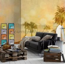 Palm oasis 1 fottobehaang Livingwalls ARTist dd119753