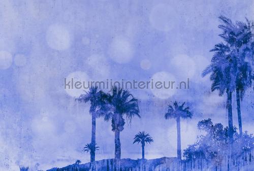 Palm oasis 2 fotobehang dd119757 Modern - Abstract Livingwalls