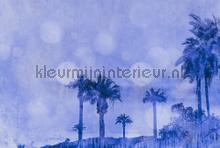 Palm oasis 2 fotobehang dd119757 Modern - Abstract Livingwalls