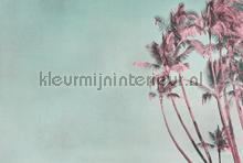 Tropical breeze fotomurais Livingwalls ARTist dd119769