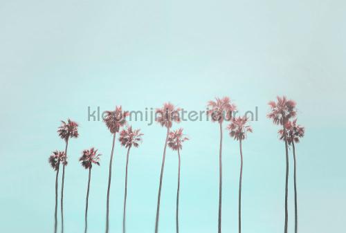 Tropical trees photomural dd119773 Modern - Abstract Livingwalls