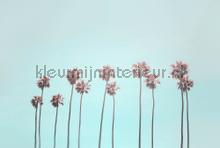 Tropical trees fotomurais Livingwalls ARTist dd119773