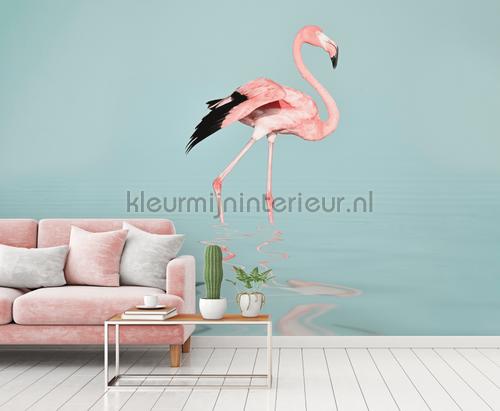 Flamingo water fototapet dd119777 Moderne - Abstrakte Livingwalls