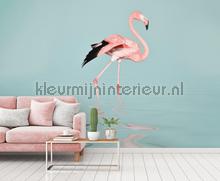 Flamingo water fotomurali Livingwalls Sun Mare Spiaggia 