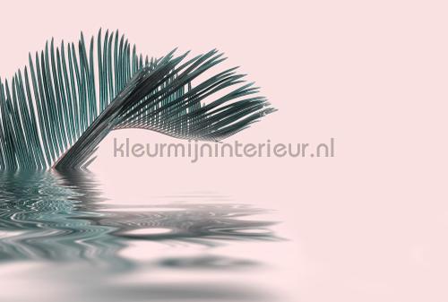 Palm leaf water fototapeten dd119785 ARTist Livingwalls