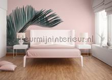 Palm leaf water fotomurais Livingwalls ARTist dd119785
