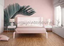 Palm leaf water papier murales Livingwalls ARTist dd119785