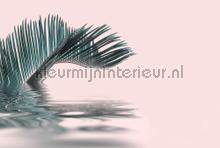 Palm leaf water fotomurali Livingwalls ARTist dd119785