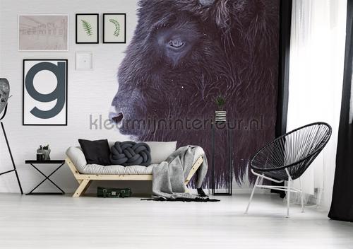 Black buffalo fotomurais dd119797 Moderno - Abstrato Livingwalls