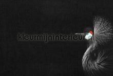 Crowned crane black fotomurais Livingwalls ARTist dd119805