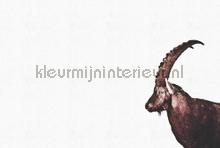 Capricorn snow fotomurais Livingwalls ARTist dd119813