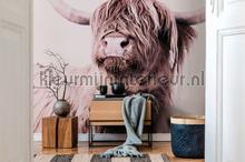 Highland cattle 1 fottobehaang Livingwalls ARTist dd119821