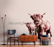 Highland cows fotomurais Livingwalls telhas 