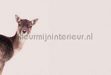 Deer rose fotobehang Livingwalls dieren 